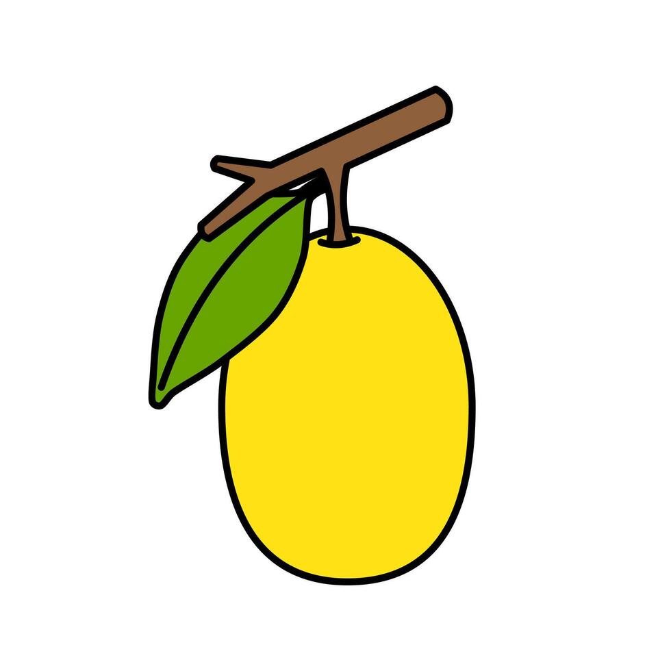flat ximenia illustration vector