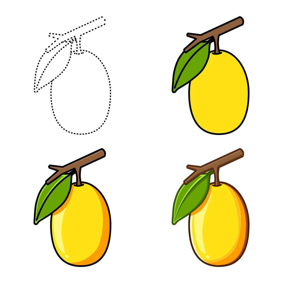 ximenia fruit set illustration vector