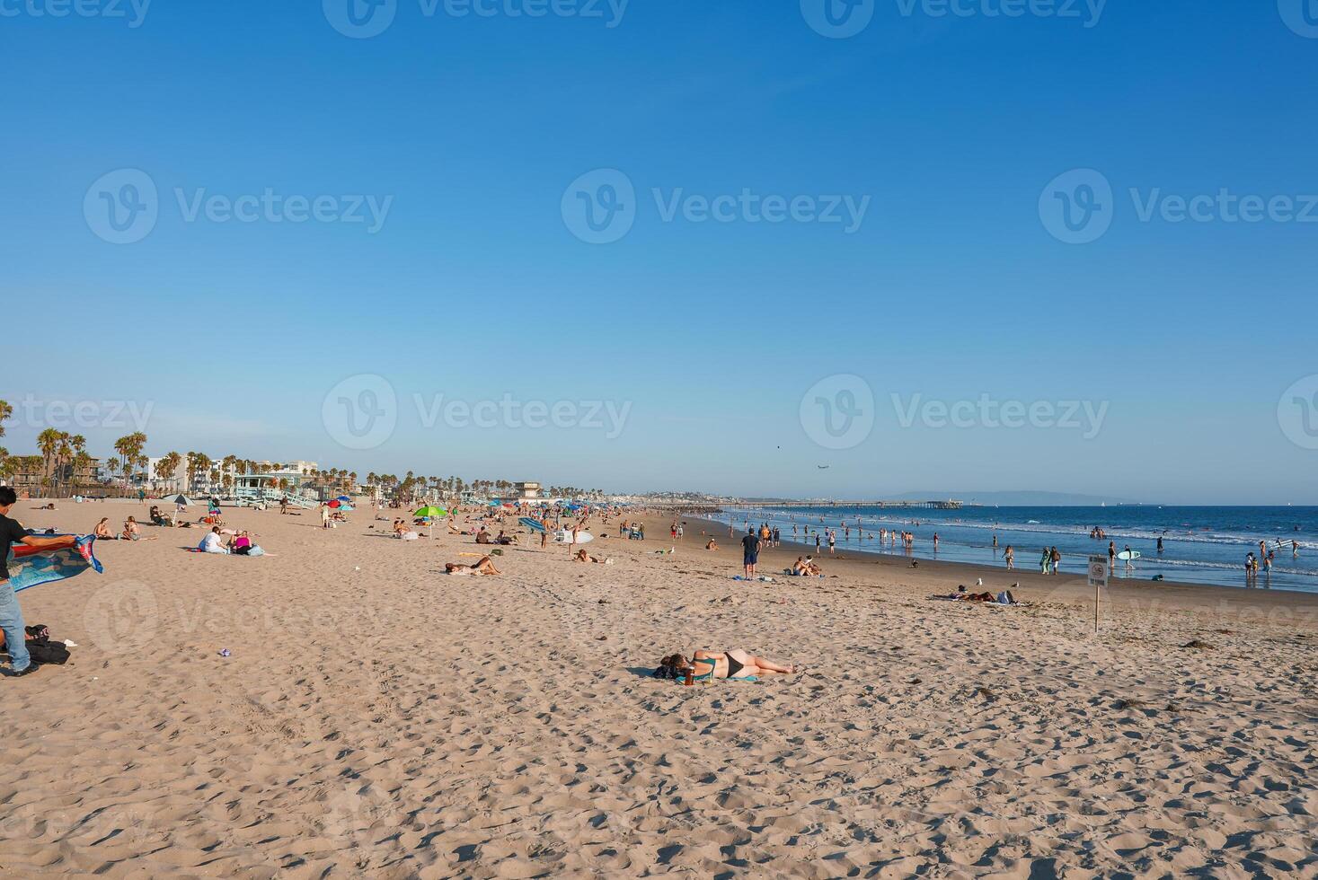 Sunny Day at Venice Beach with Palm Trees and Beachfront Buildings photo