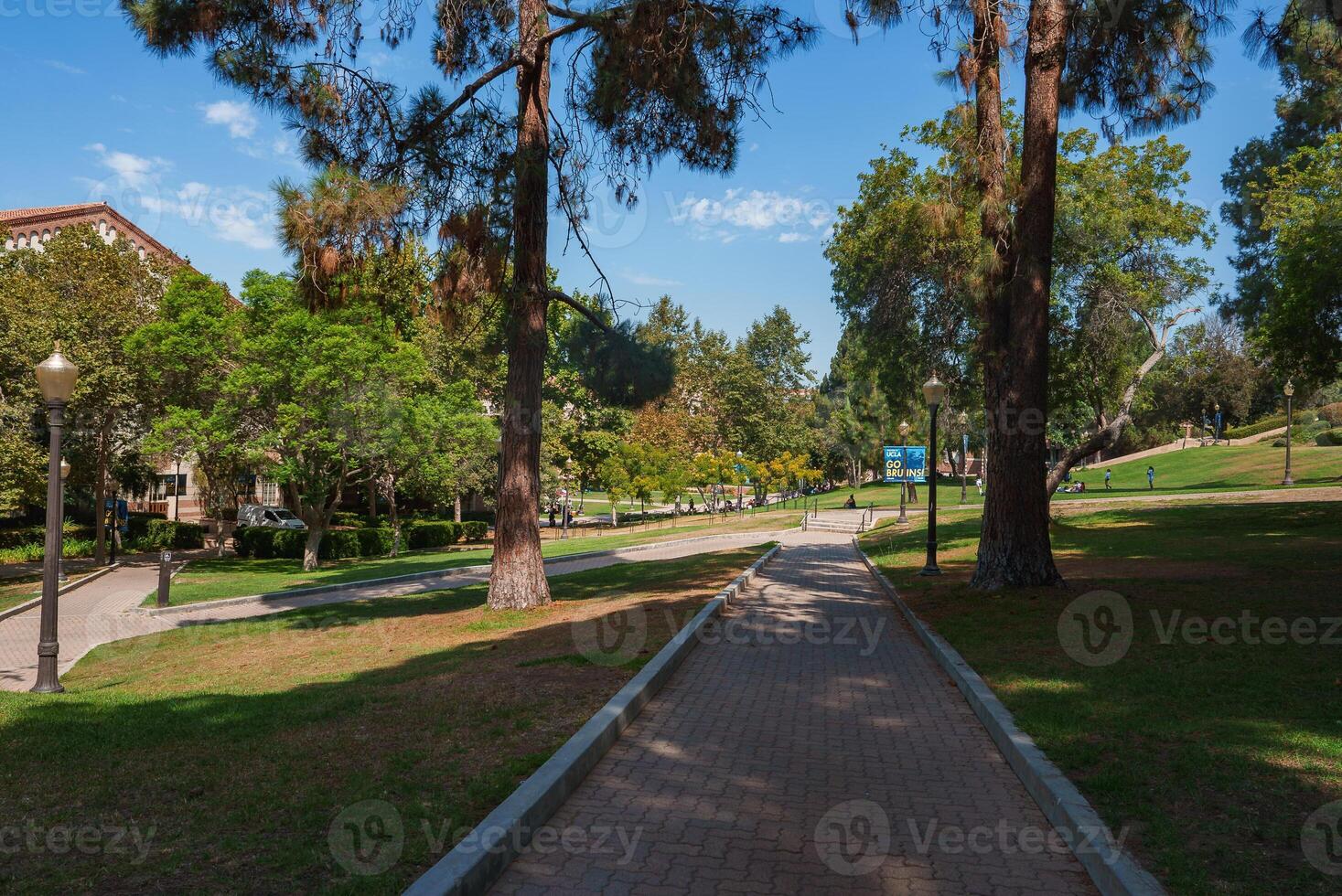 Brick Walkway Lined with Trees on UCLA Campus in Los Angeles photo