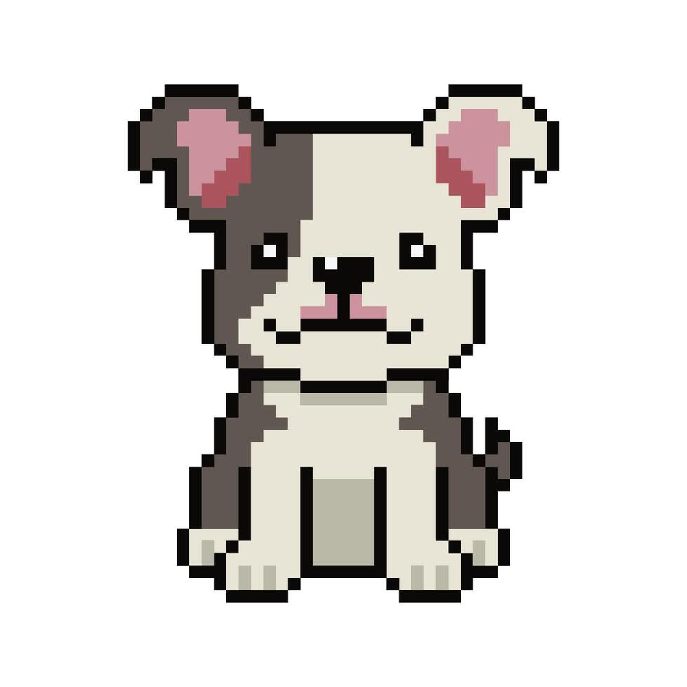 Pixel art cute boston terrier dog in retro style vector