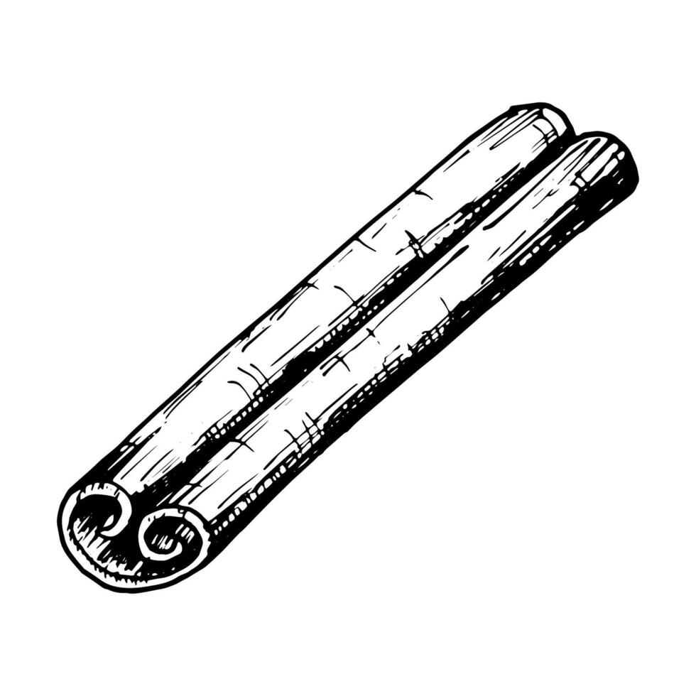 Hand drawn clipart of a cinnamon stick in detailed black and white line art. Perfect for use in culinary, holiday, and aromatic-themed designs, packaging, and creative projects. vector