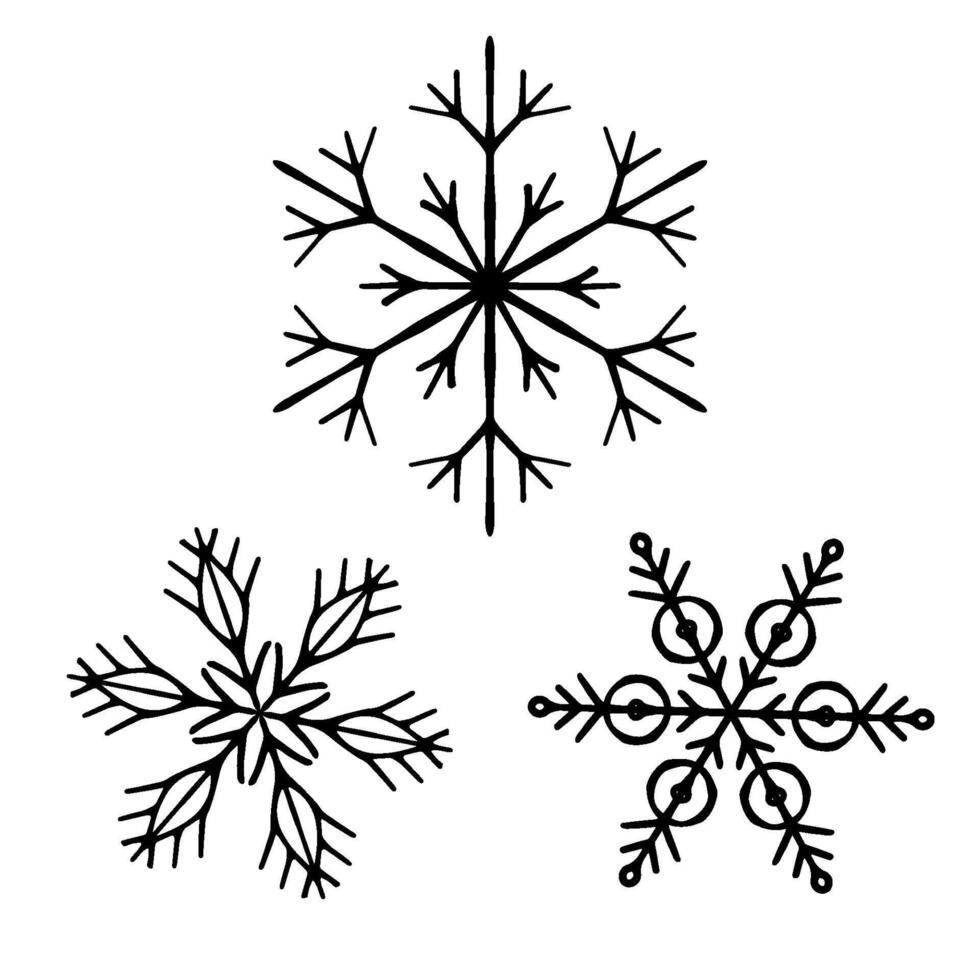 Set of three illustration of a snowflakes with symmetrical geometric patterns. Perfect for Christmas and winter designs, holiday cards, seasonal decorations and festive creative projects vector