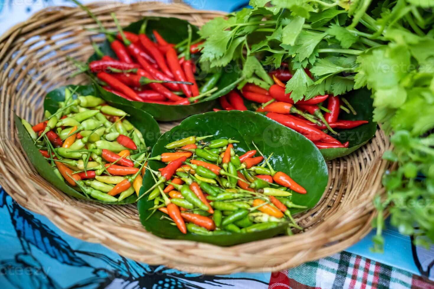 Portrait of red and green bird chilli in blurry red goat pepper, many Thai pepper placed in a wooden basket. photo
