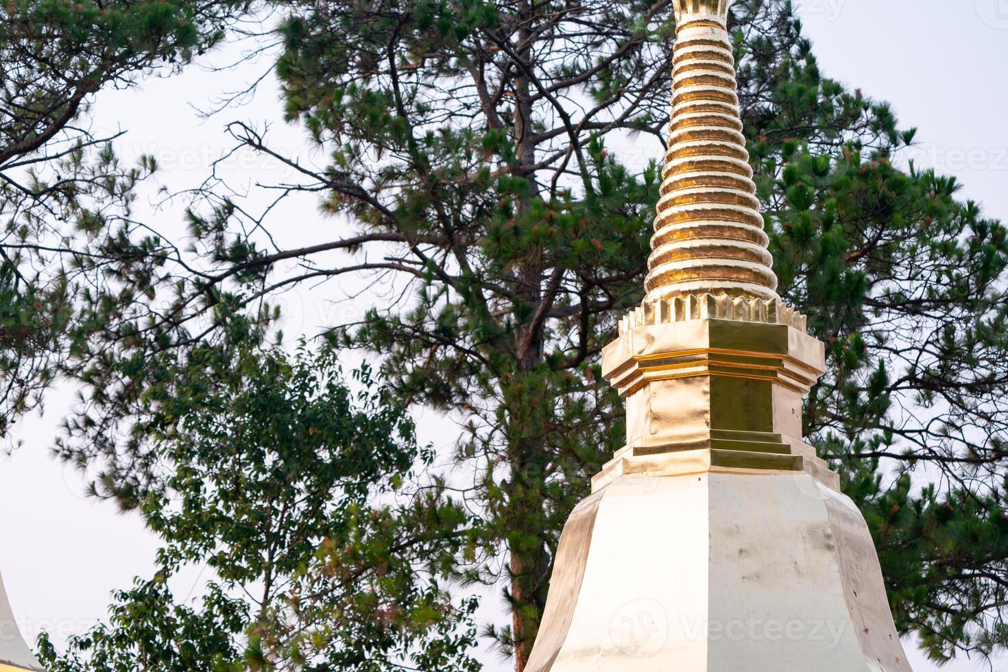 Wat Phra That Doi Tung, a famous Temple and Buddhism place. It's settled on the mountain in Chiang Rai province, north of Thailand. photo