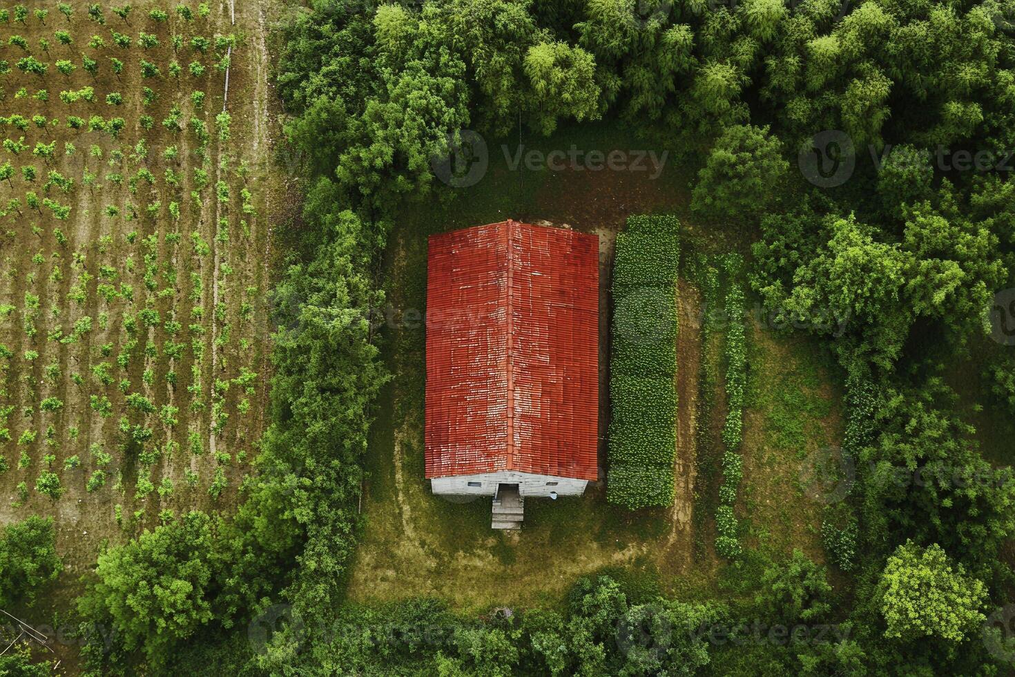 Aerial view of a red-roofed barn nestled in a lush green landscape with vineyards. photo