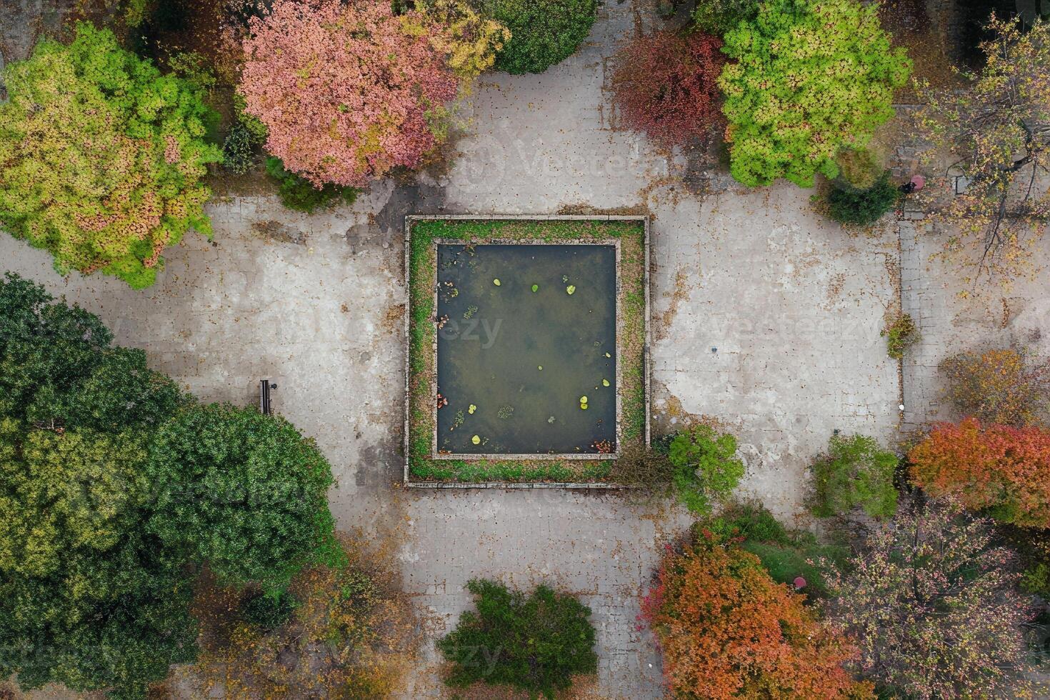 Aerial view of a square pond in an autumnal garden. photo