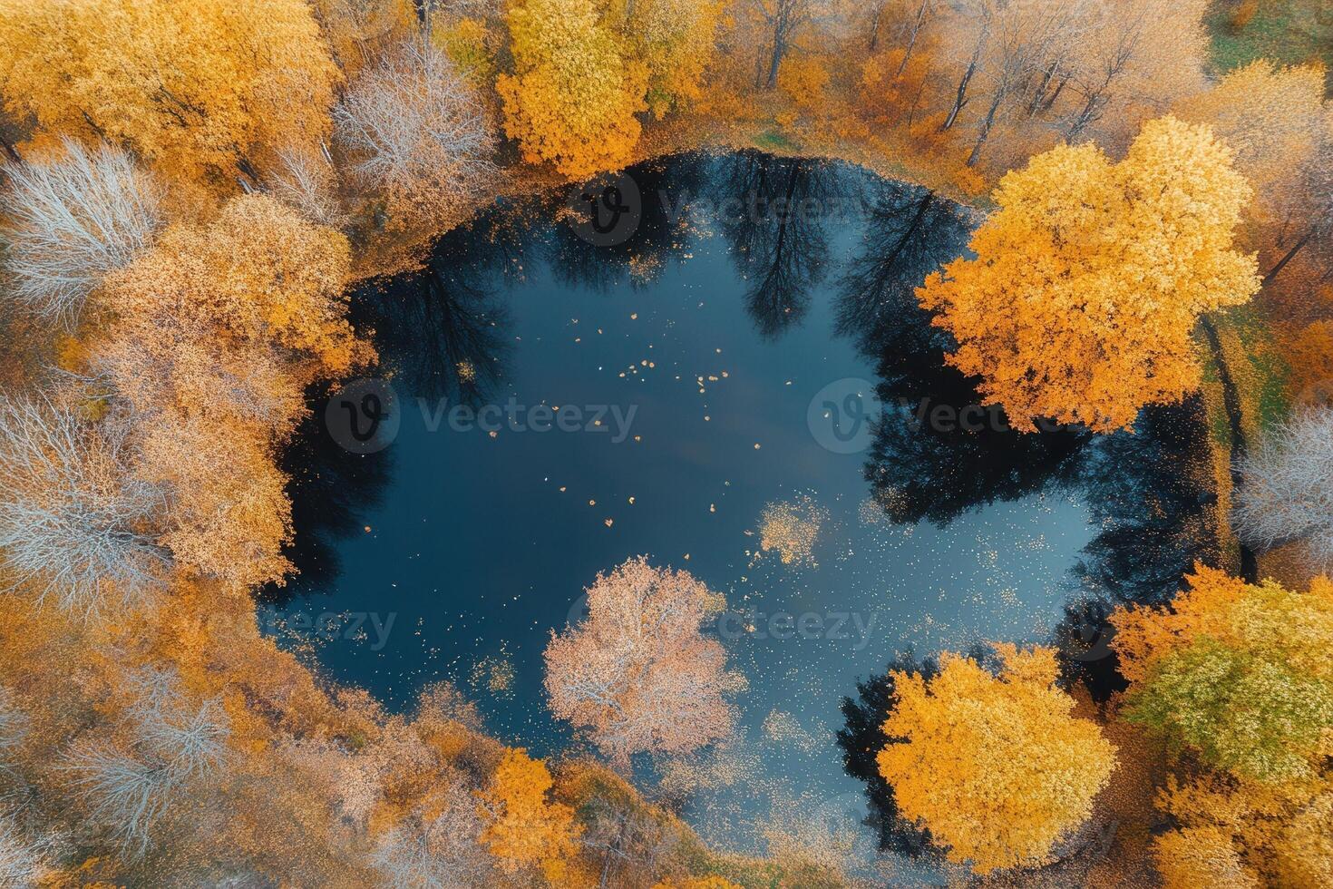 Aerial view of autumnal pond surrounded by golden trees. photo