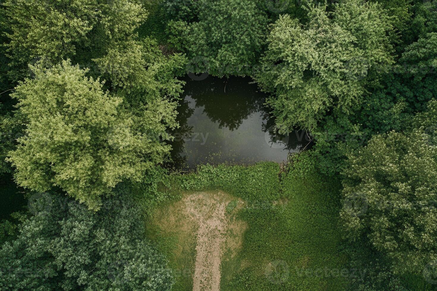 Aerial view of a secluded pond surrounded by lush green trees and a dirt path. photo