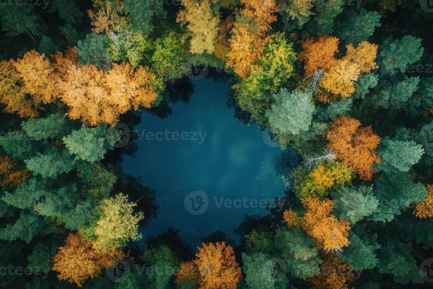 Aerial view of a heart-shaped lake surrounded by autumn trees. photo