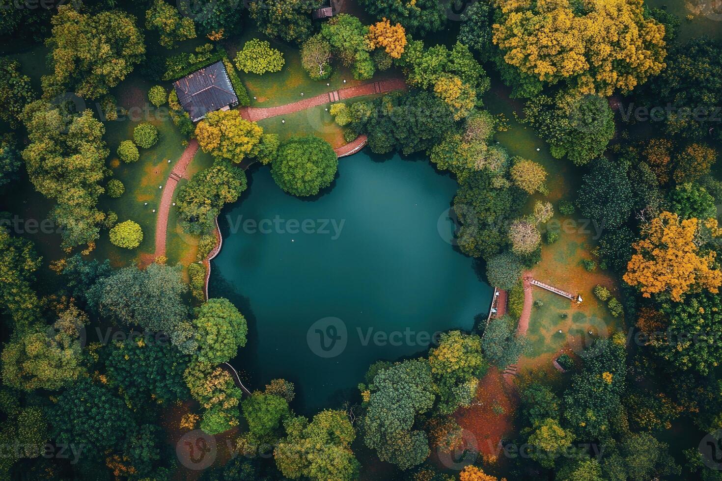 Aerial view of a serene pond surrounded by lush greenery in a park. photo