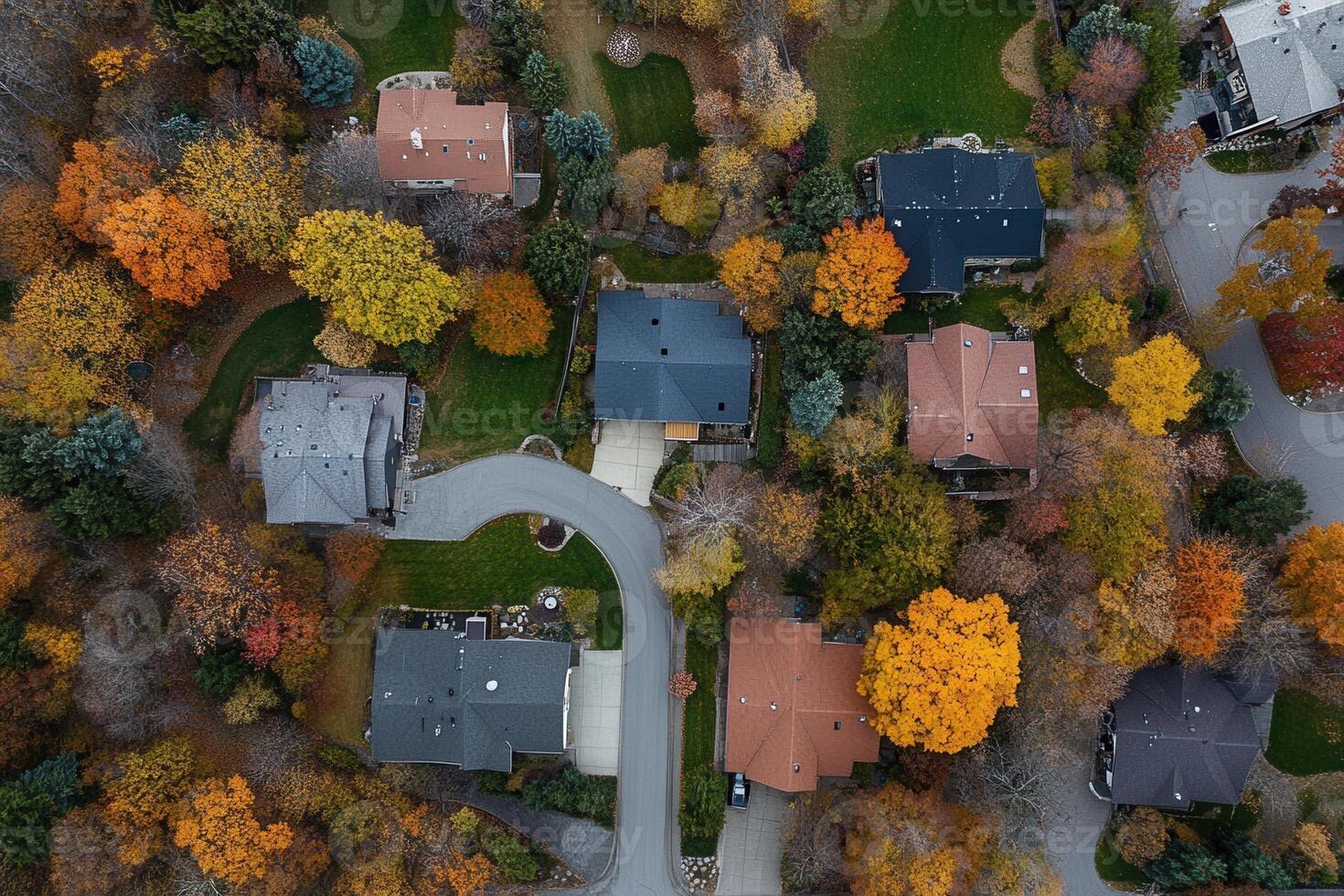 Aerial view of residential neighborhood in autumn. photo