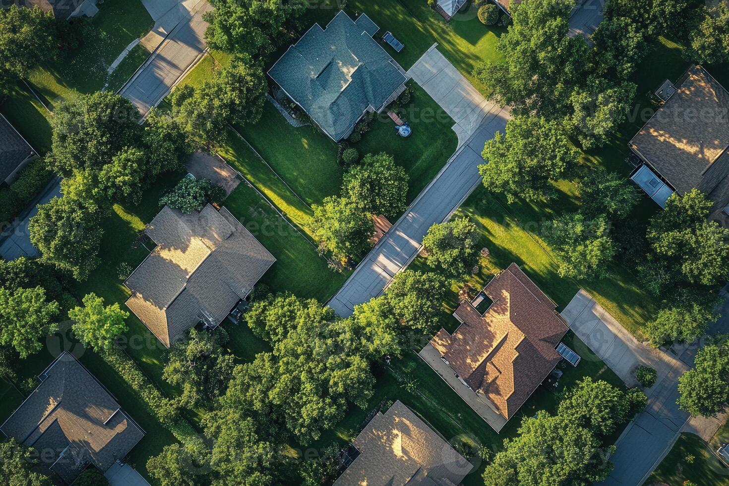 Aerial view of suburban houses nestled amongst lush green trees and winding roads. photo