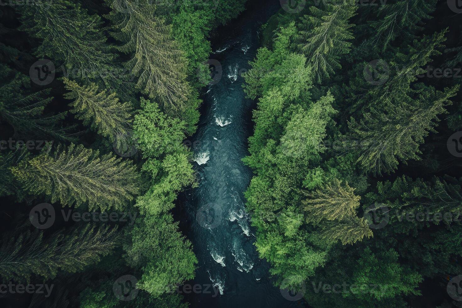 Aerial view of a river flowing through a lush green forest. photo