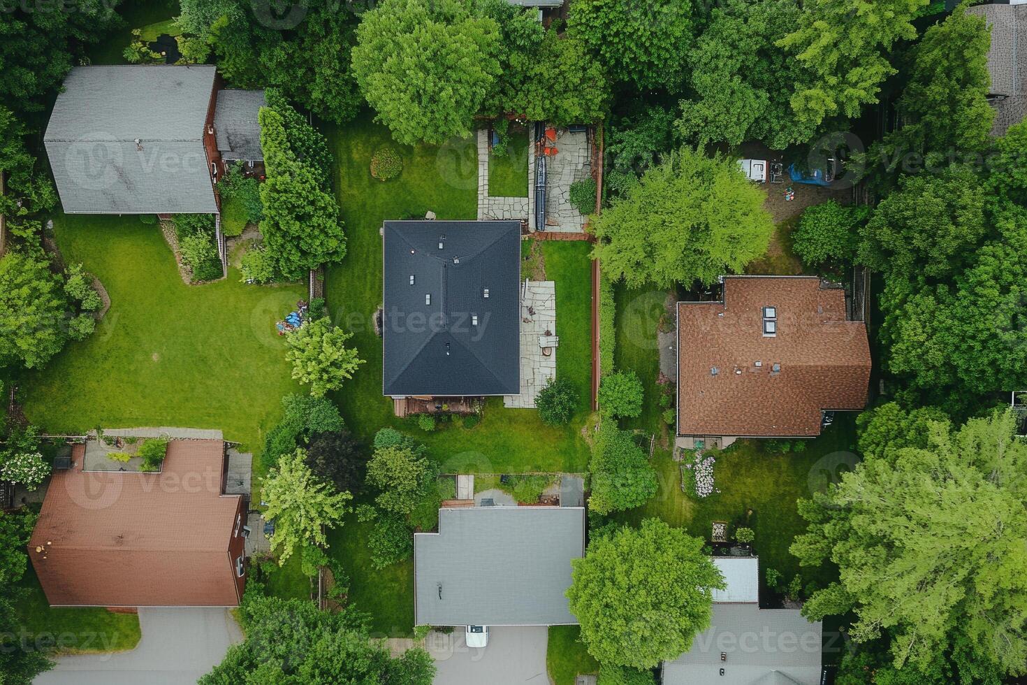 Aerial view of suburban houses surrounded by lush green trees and lawns. photo