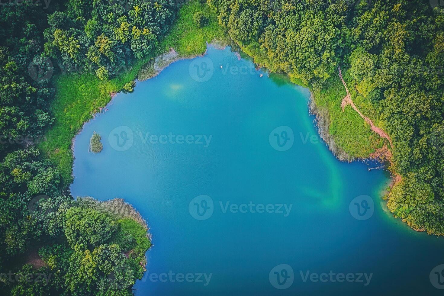 Aerial view of a serene lake surrounded by lush green forest. photo