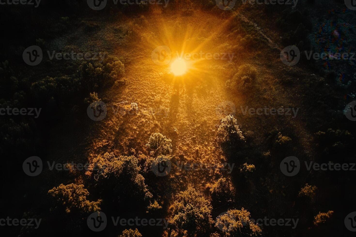 Aerial view of sun rays through forest canopy at sunset. photo