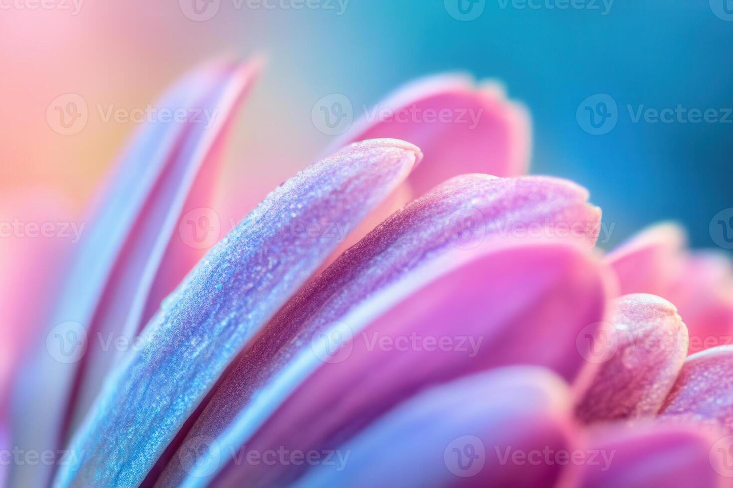Close-up of pink flower petals with dew drops, vibrant colors, soft focus. photo