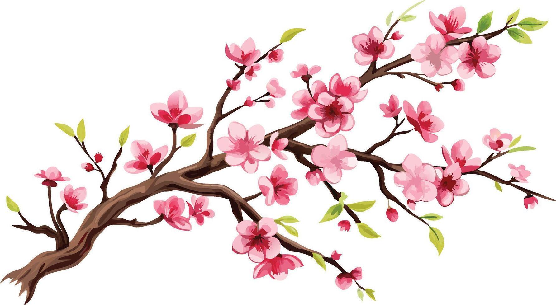 A branch with pink flowers on it vector