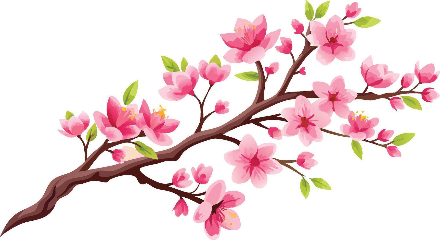 A branch with pink flowers and leaves vector