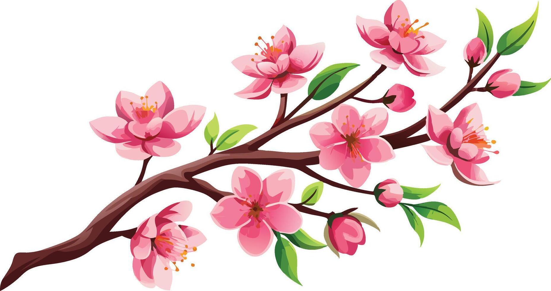 A branch of pink flowers with leaves vector