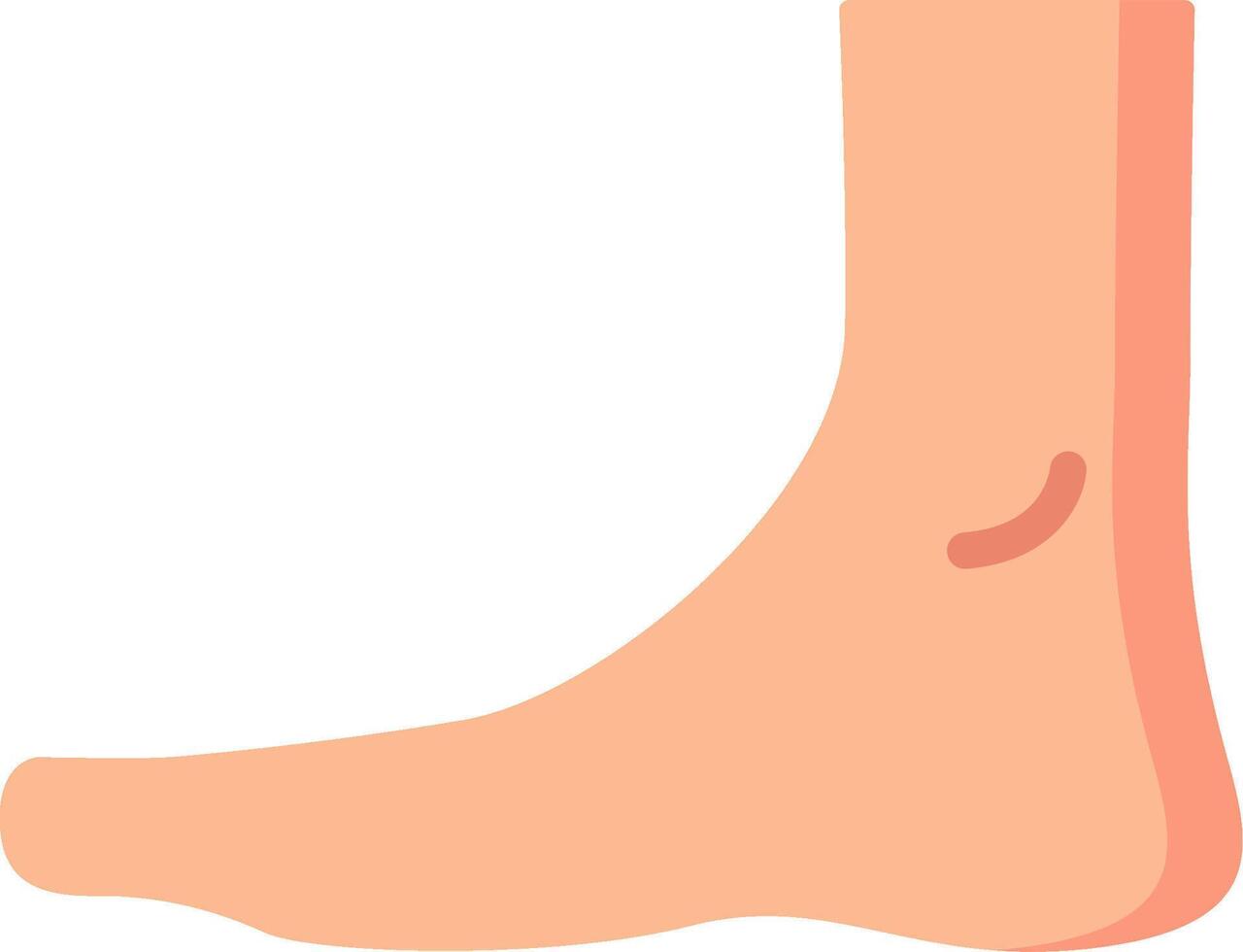 A foot with a small bump on it vector