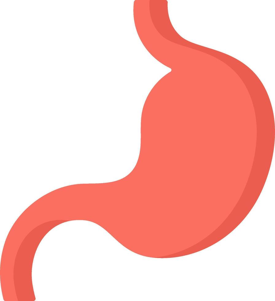 The stomach is shown in a flat style vector