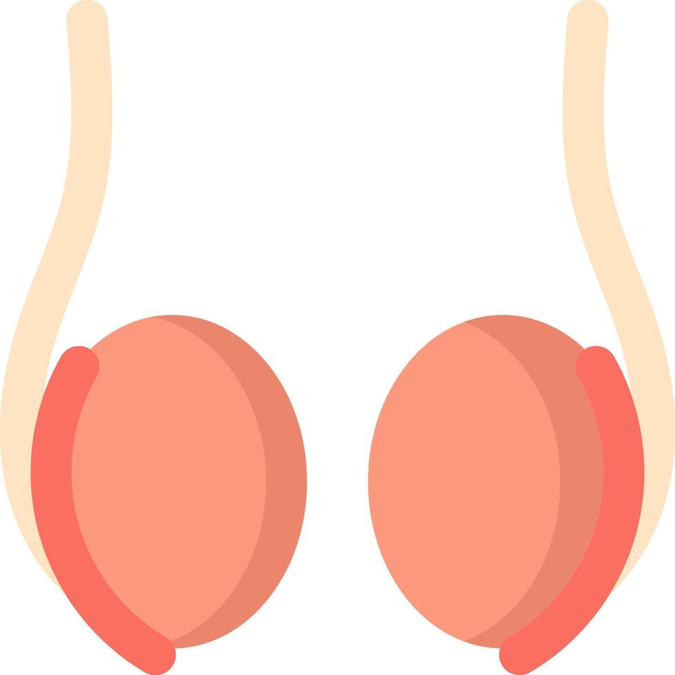 A pair of testicles with two balls on each side vector