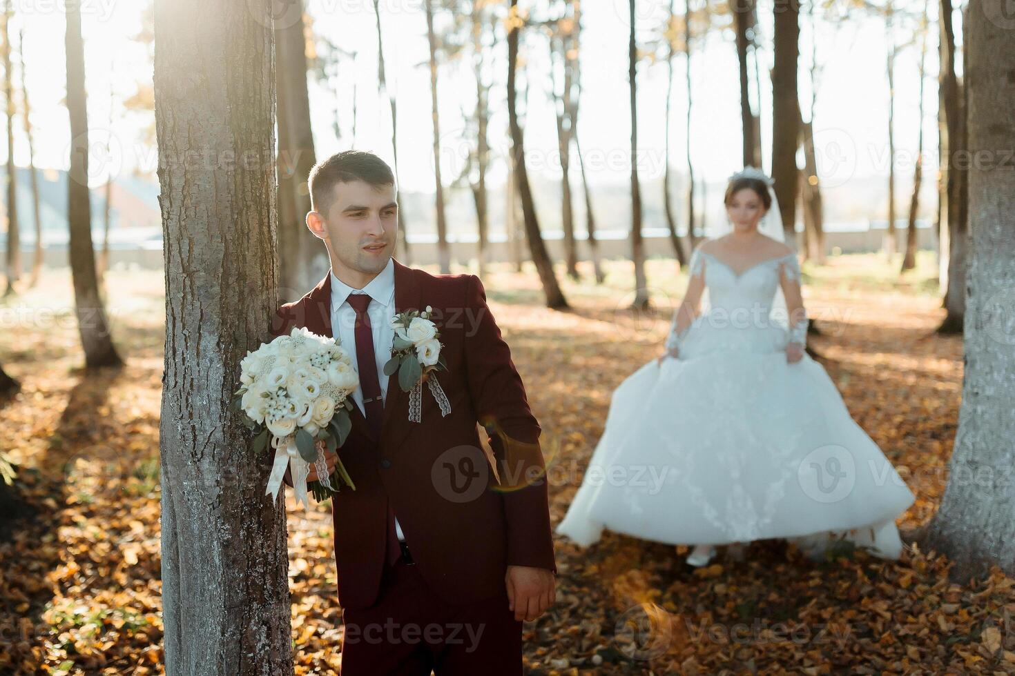 A man and a woman are getting married in a forest photo