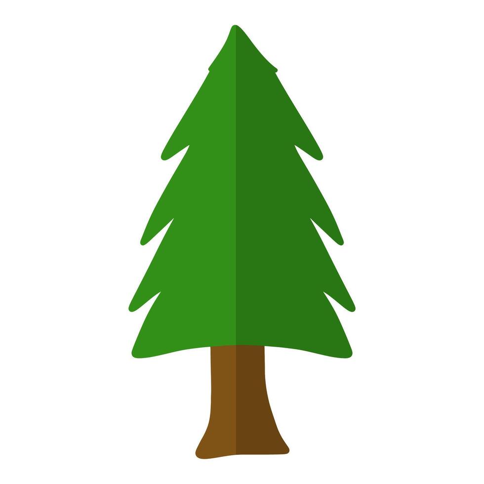 pine tree illustration vector