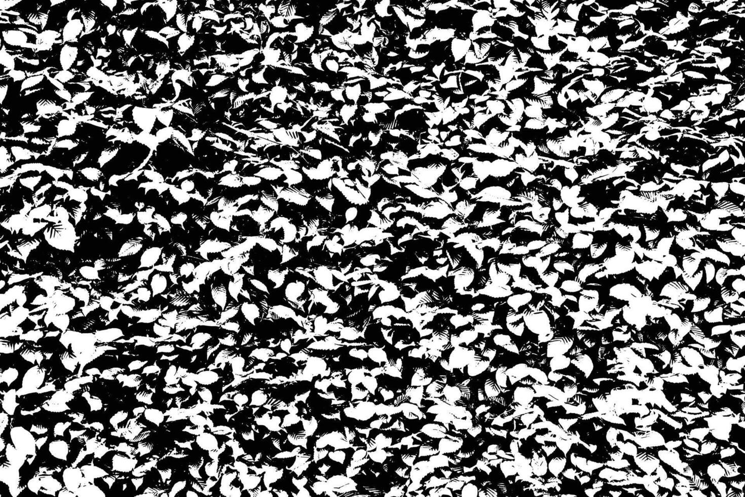 Abstract Black and White Leaf Texture - Intricate Nature-Inspired Grunge Pattern for Creative Projects vector
