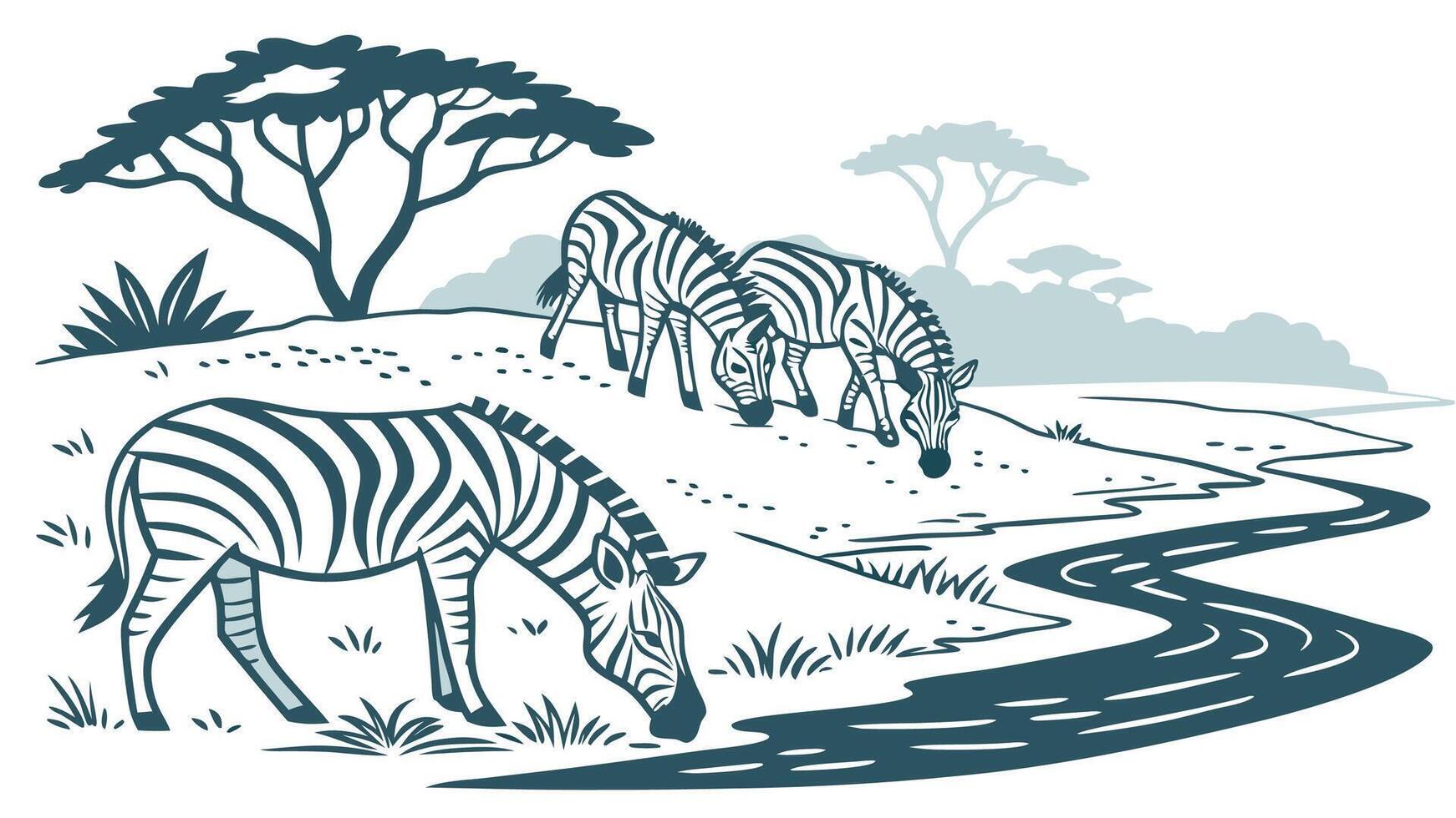 Herd of Zebras Drinking Water at a River with Wildlife vector