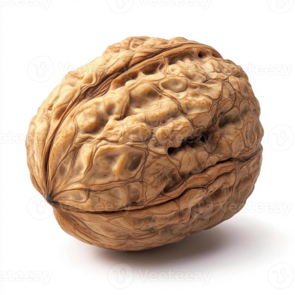 Close-up of a walnut with its rough, textured brown shell, isolated on a clean white background photo