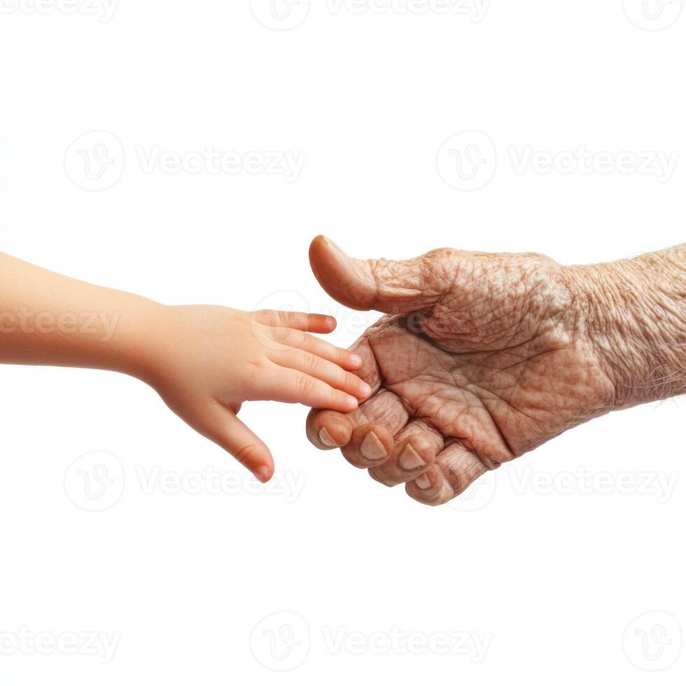 child's hand and an elderly person's hand side by side on an isolated white background photo