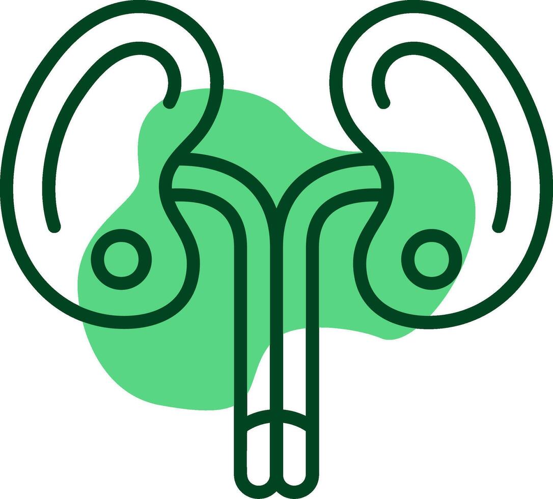 Kidneys Outline Style Icon vector