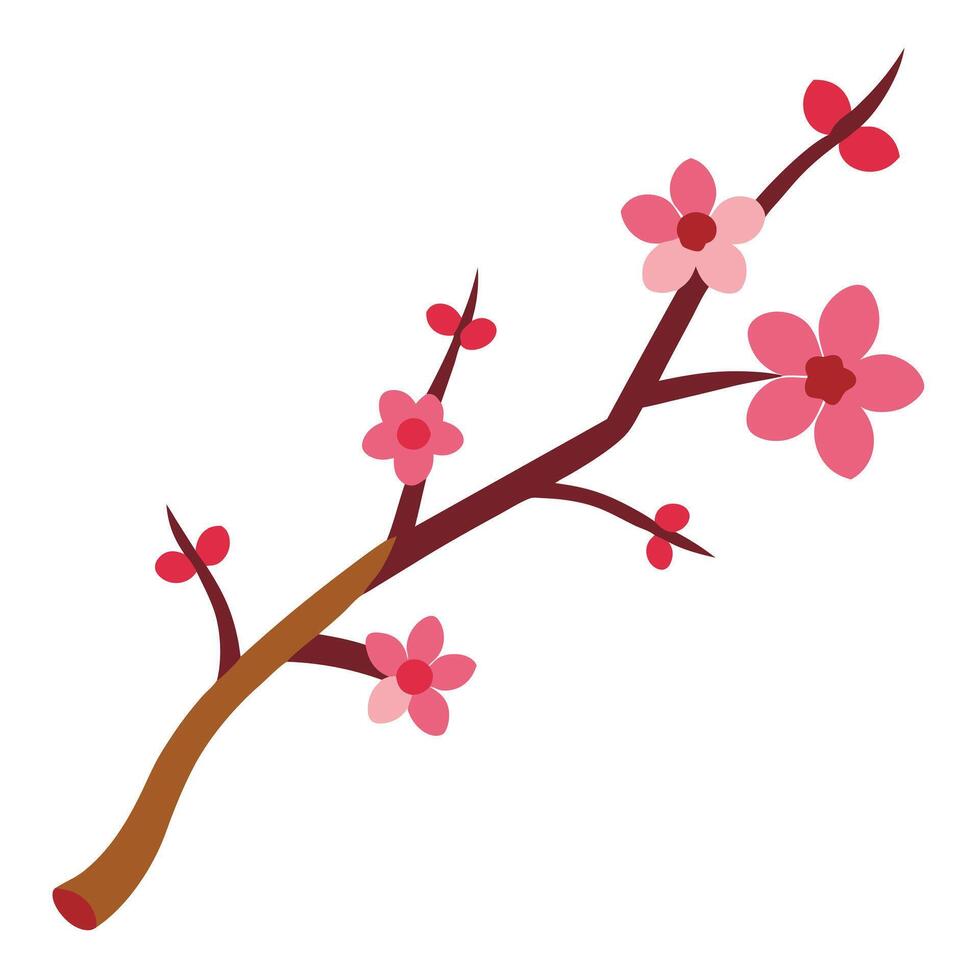 a single twig with blooming plum blossoms on white vector