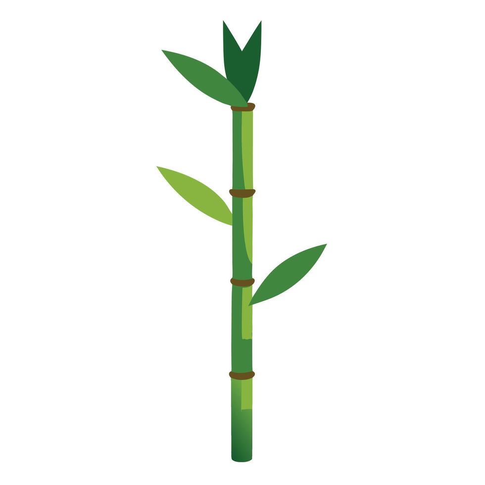 A Single Bamboo Stalk with Green Leaves vector