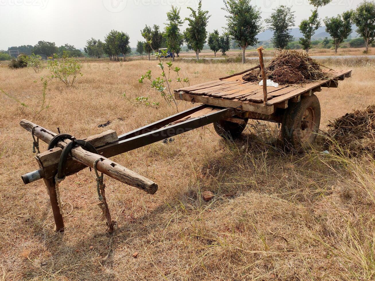 A bullock cart stands in a rural field, loaded with dried hay. Its aged frame and worn tires hint at years of agricultural use, set against a backdrop of open fields and scattered trees. photo