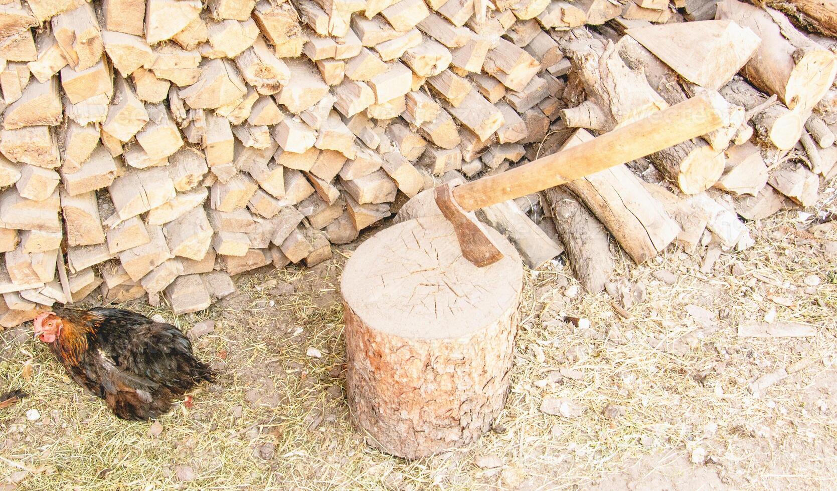 A chicken standing next to a log with a hammer photo