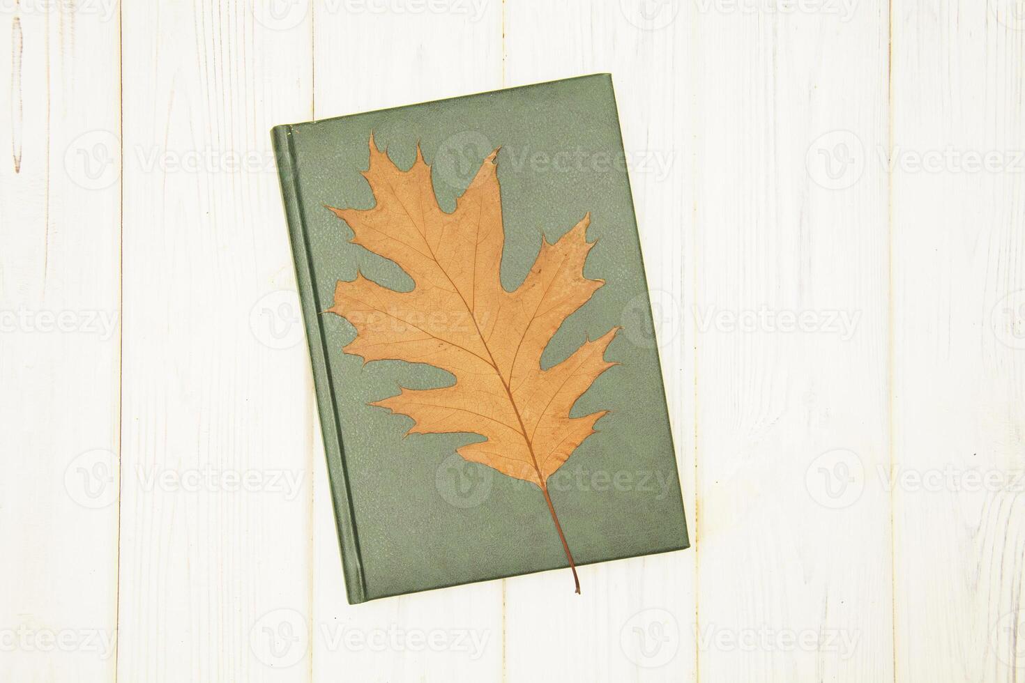 A leaf is sitting on top of a green book photo