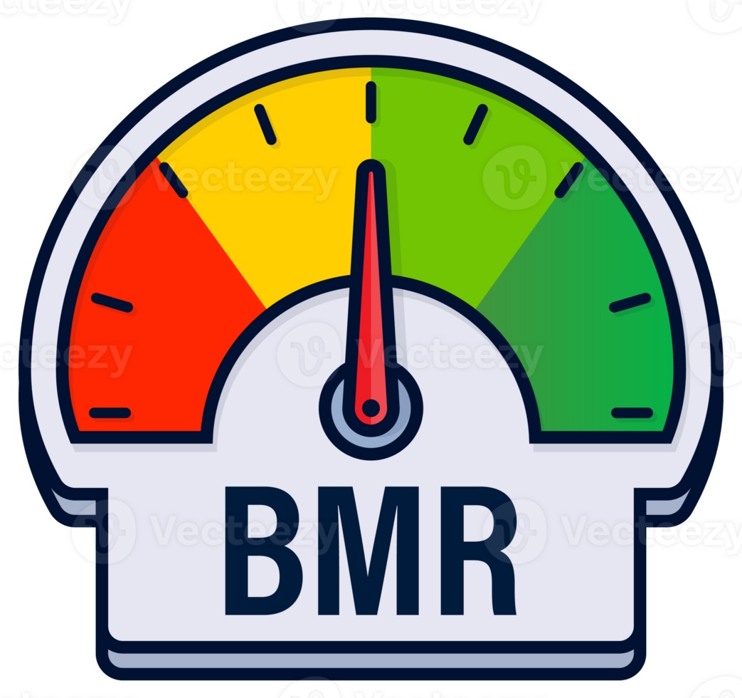 Basal Metabolic Rate BMR Assessment Gauges Illustration with Caloric Requirement Indicators png