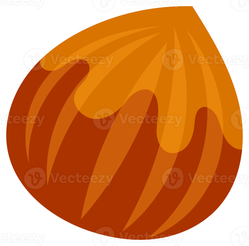 Hazelnuts at various stages of ripeness, showcasing the nut, shell, and kernel, providing a comprehensive visual guide to this popular nut png