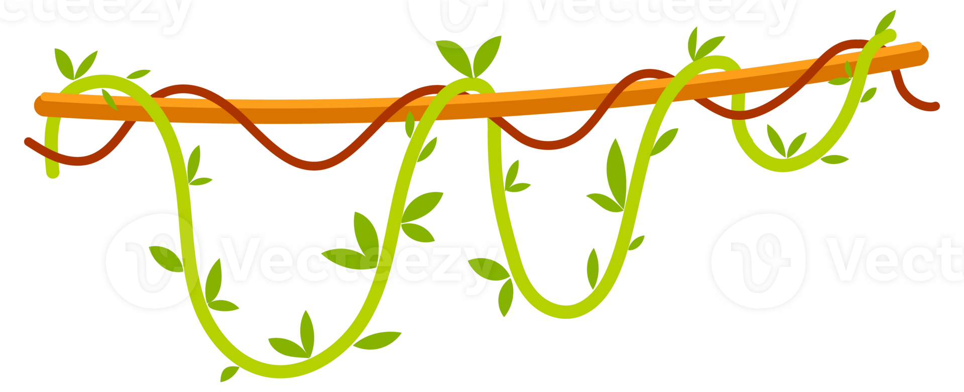 Set of cartoon lianas covered with green leaves, hanging on branches, jungle design elements on white background png