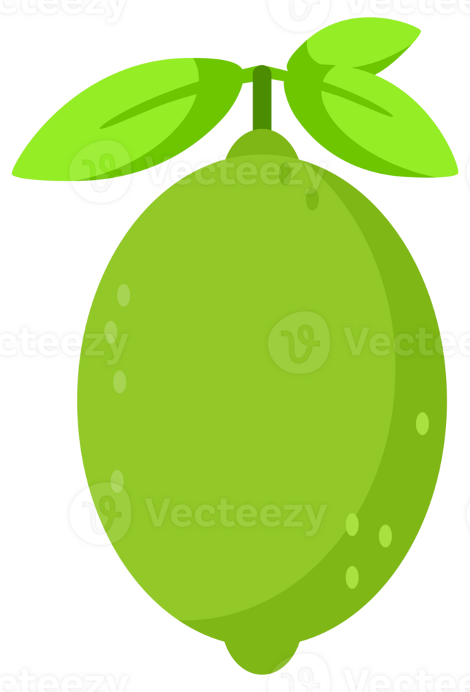 Set featuring whole and sliced lime fruits with leaves and flowers png