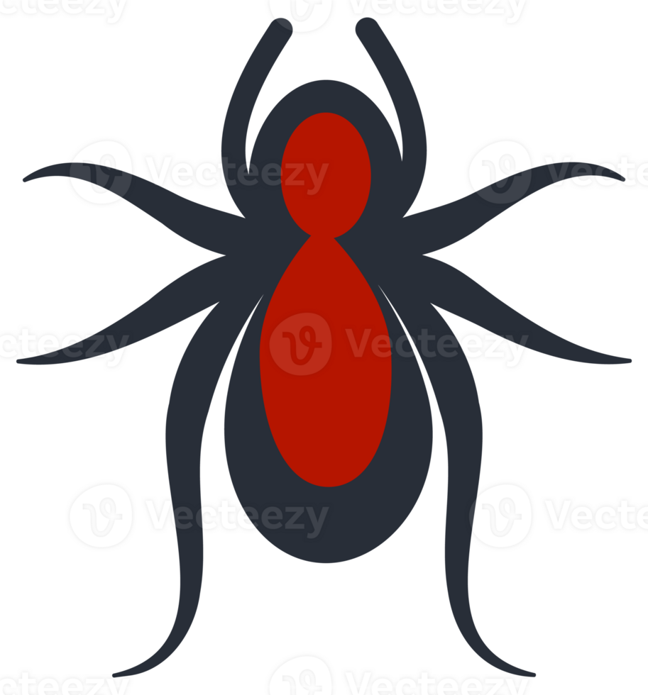 Insects set on white background. Ladybug and spider, mosquito. png