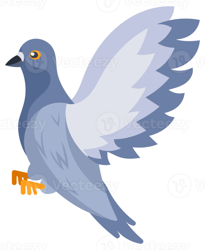 Set of pigeons standing and flying with spread wings png
