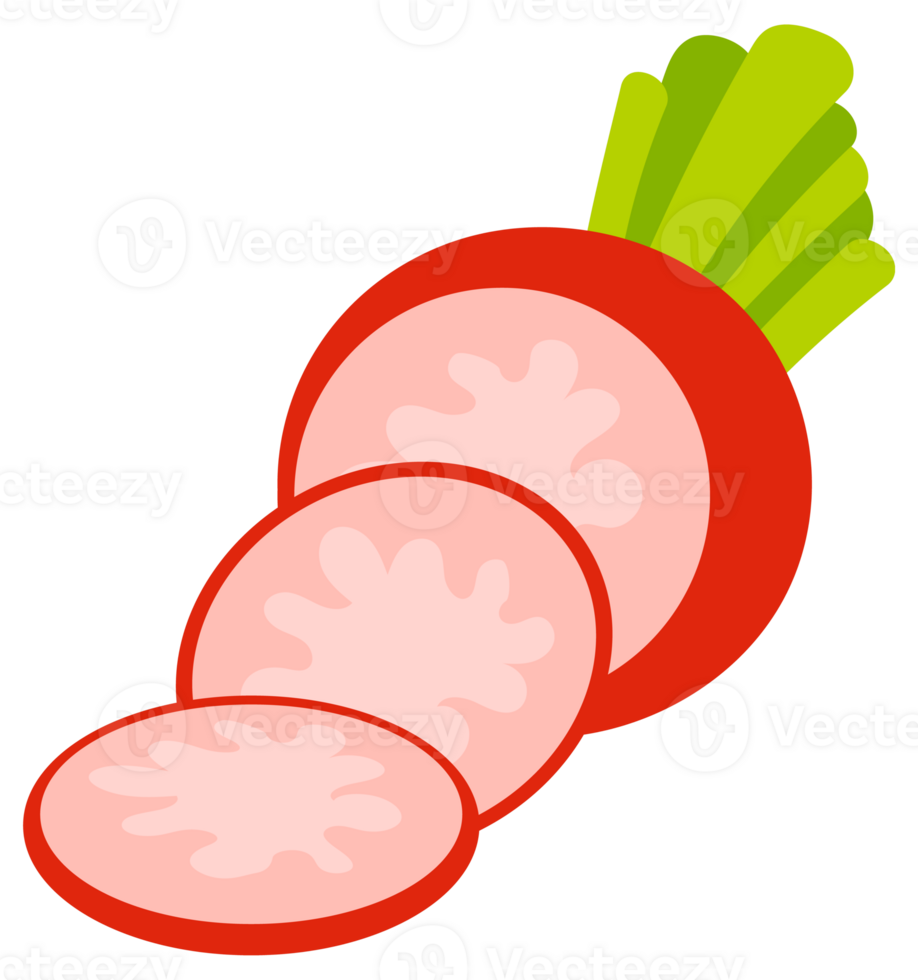 Red radish fresh with leave cartoon set. Ripe radishes png