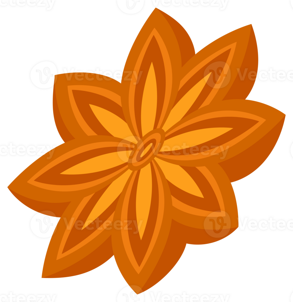 Cinnamon set. Cinnamon sticks tied with a rope. Fragrant spice. png