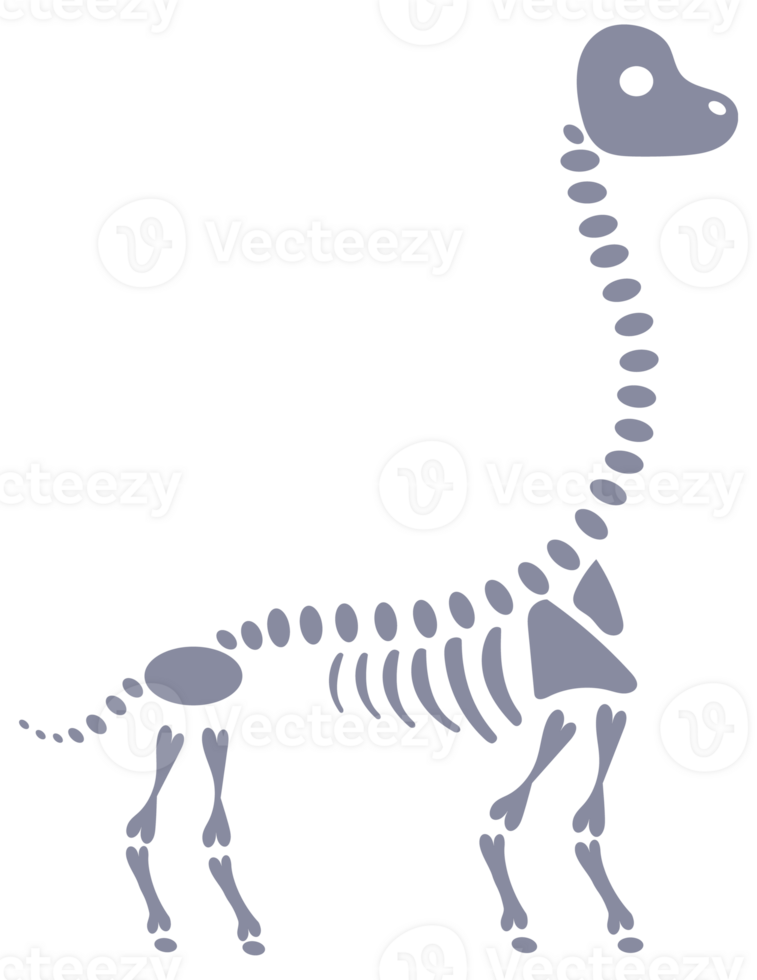Set of five dinosaur skeletons standing on two legs with bones visible png