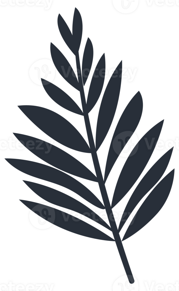 Collection of tropical plant leaf silhouettes, featuring a variety of shapes and sizes, ideal for botanical themes png